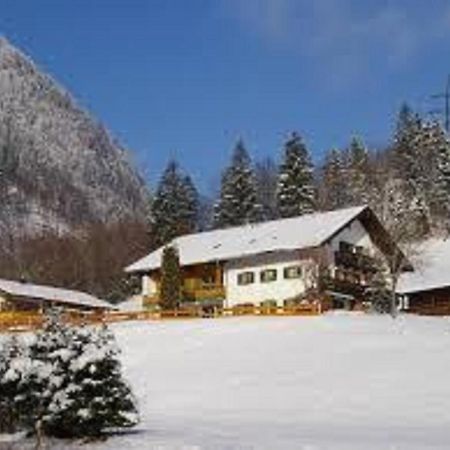 Haus Holzner-Nagl Apartment Schneizlreuth Exterior photo